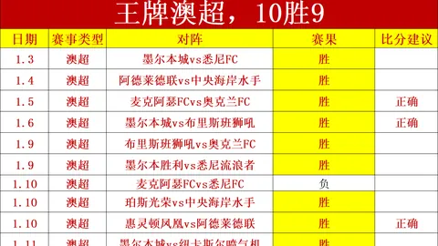 彝族球员肖金才20岁加盟西协乙队，恒大足校与三镇曾培养其才情