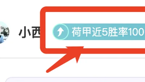 汪小菲11岁千金送母返家，汪希玥黑白装亮相神似大S